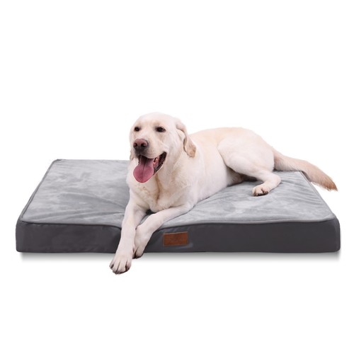 Jaspuriea large orthopedic - jaspuriea,