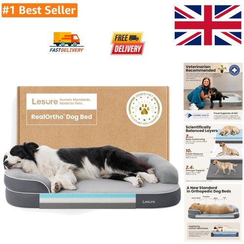 Realortho memory foam dog bed - realortho,