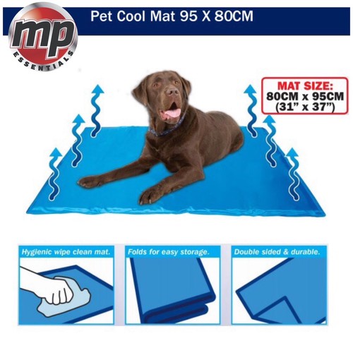 Streetwize dog cat - dog, heat