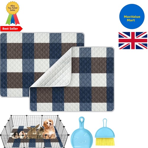 Large pack guinea pig cage - pack,