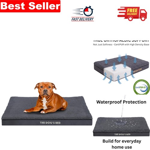 Grey plush orthopaedic dog bed - grey,