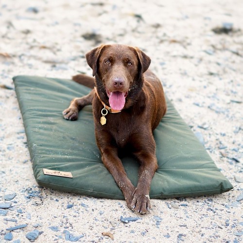 Ivy duke travel mat - travel,